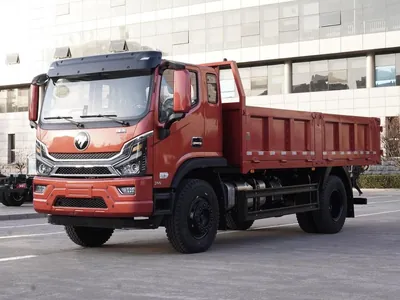 Самосвал Foton Rowor ES5 4x2 красный на экспортной площадке